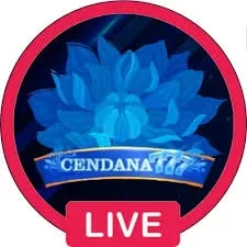 cendana777 APK Terbaru dan Aman untuk Diunduh
